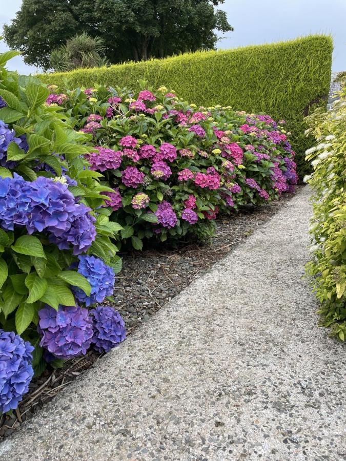 Galloway Farmstay Claunch Newton Stewart Buitenkant foto