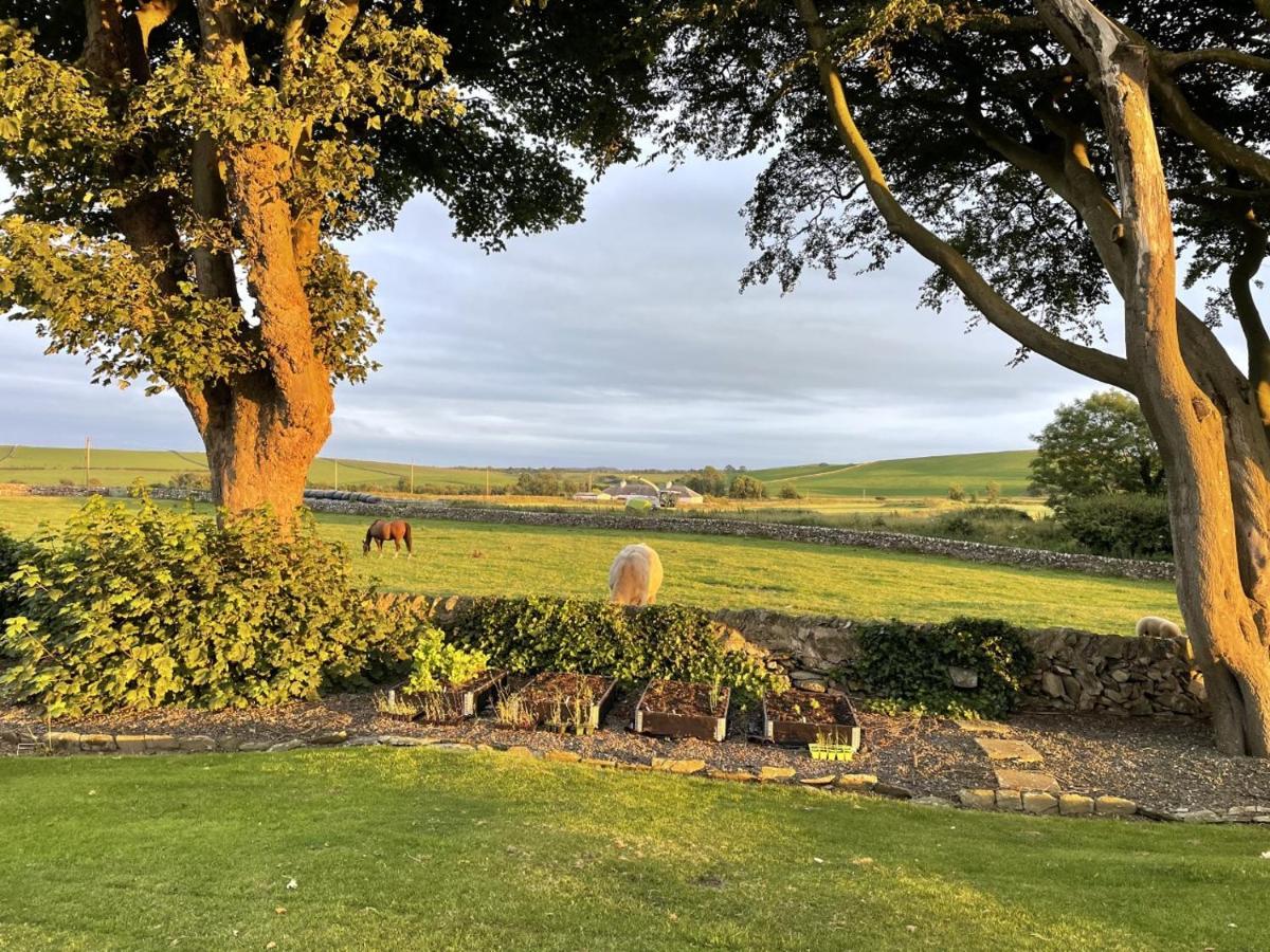 Galloway Farmstay Claunch Newton Stewart Buitenkant foto
